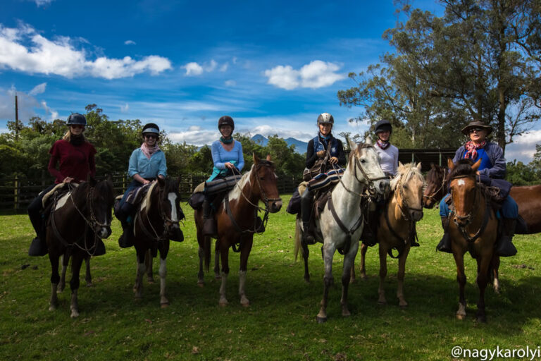 Andean, Equestrian & Wildlife Journeys