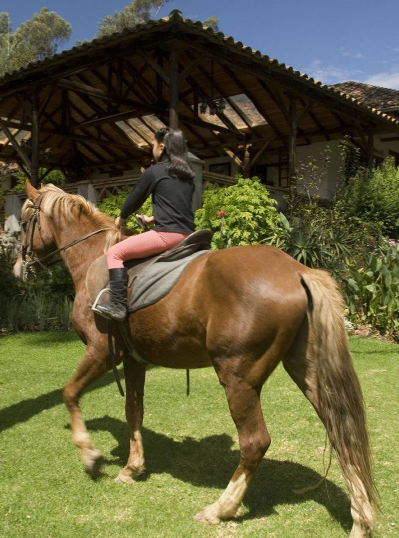 Andean Freedom — Horse Rider Experience