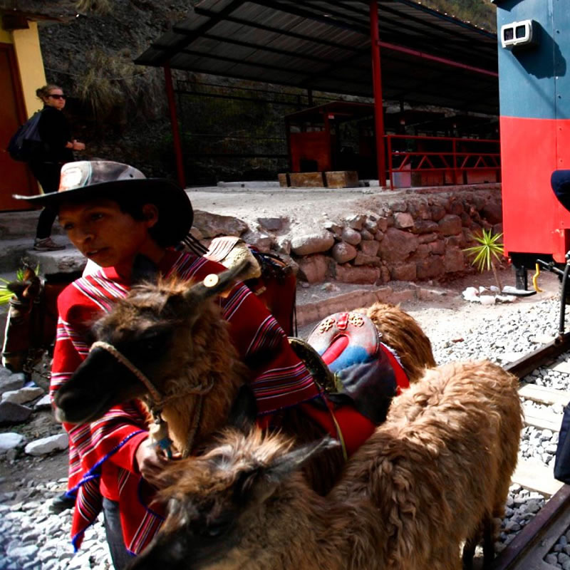 Otavalo & Indigenous Market