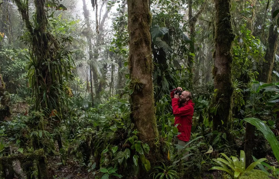 Reforestation and conservation trails