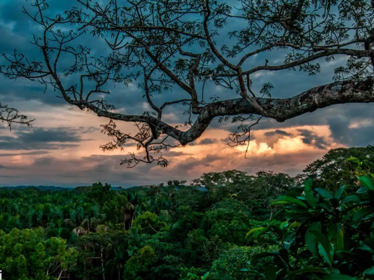 Achuar Legends Kapawi Deep Amazon Journey