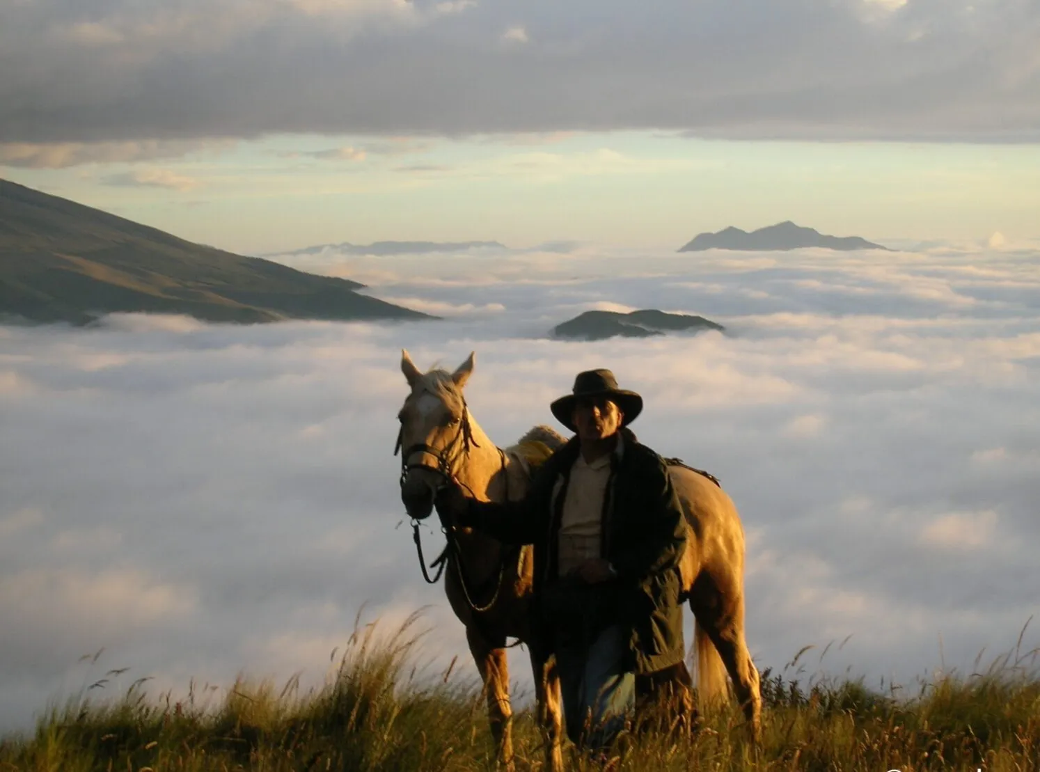 Hacienda La Alegría Equestrian Experience