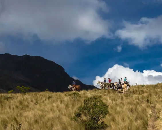 Hacienda Pinsaqui Historic Equestrian