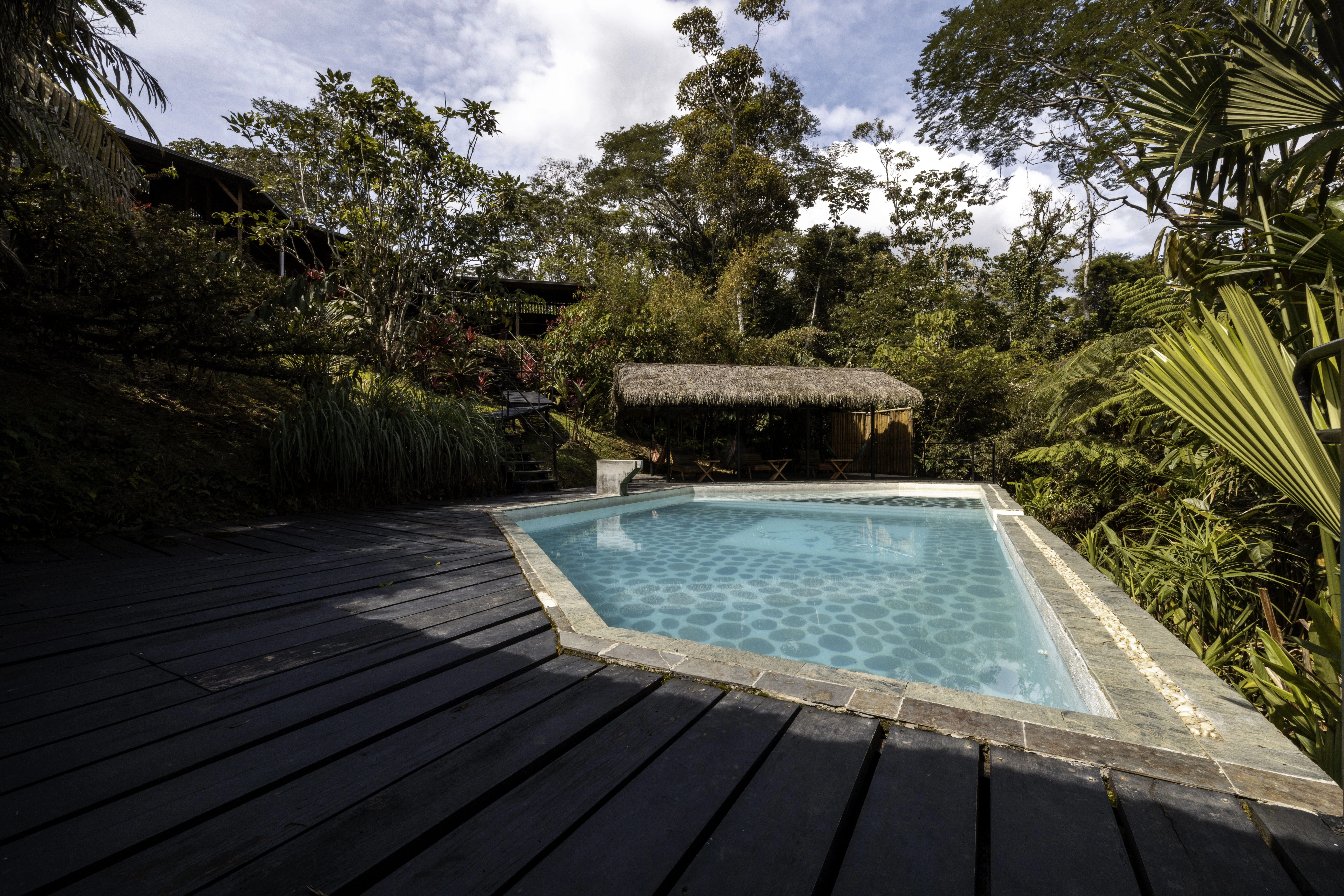 Cacao workshop and night walk experience