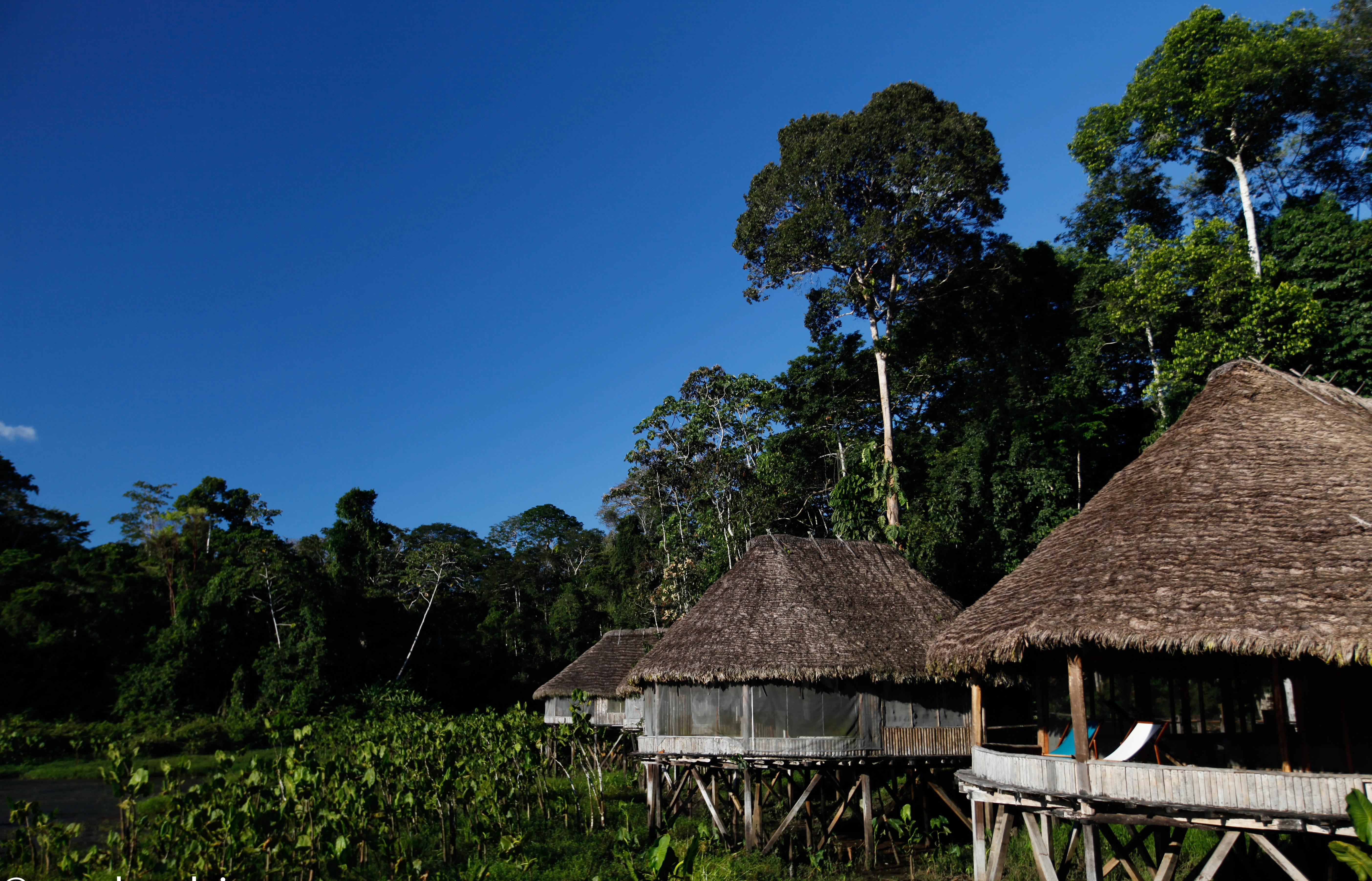 Kapawi Ecolodge traditional architecture