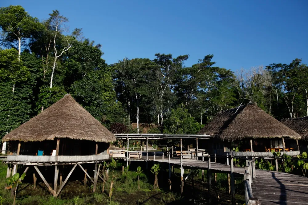 Amazon Rainforest Kapawi