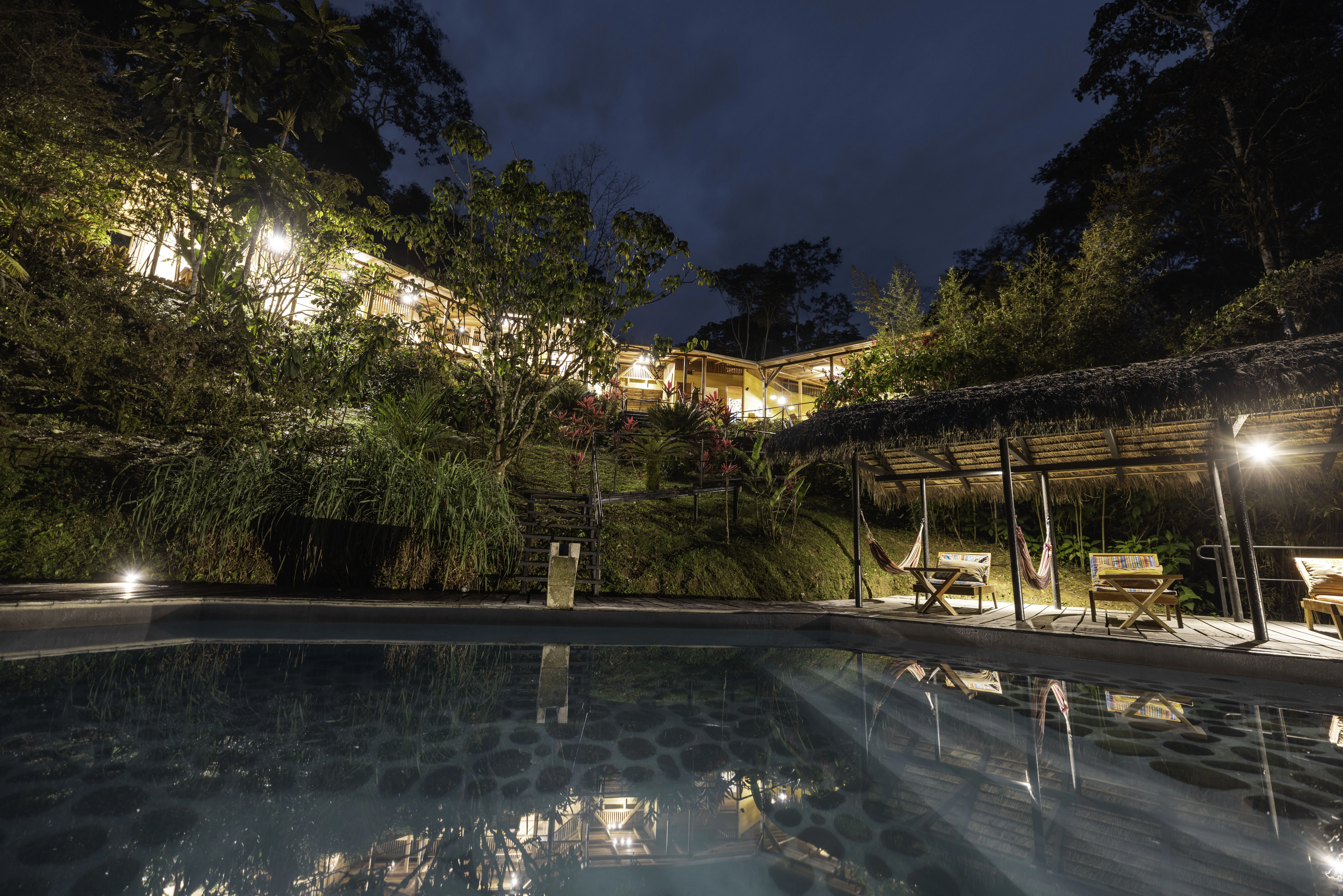 Amazon Rainforest Wellness