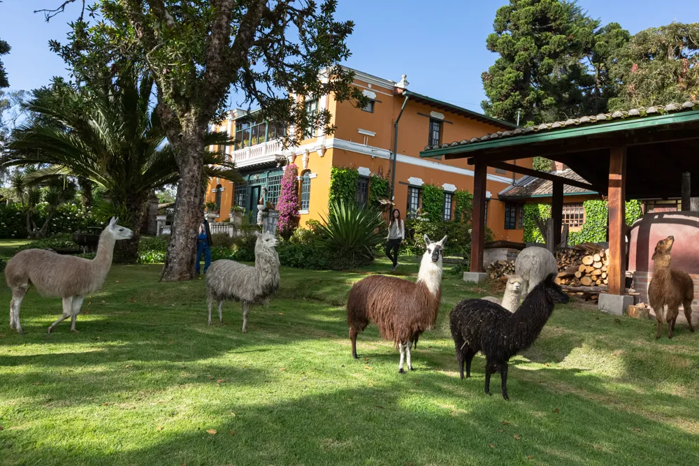 Hacienda La Alegría