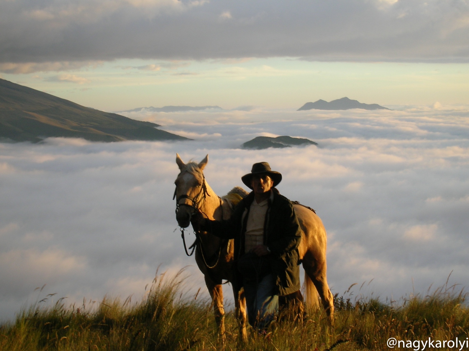 Cotopaxi Horse Riding