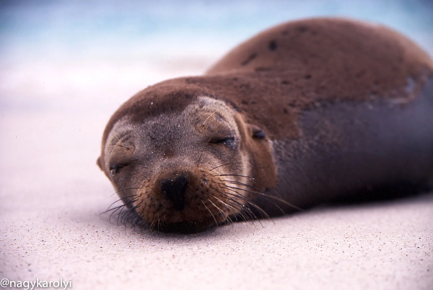 Galapagos Islands